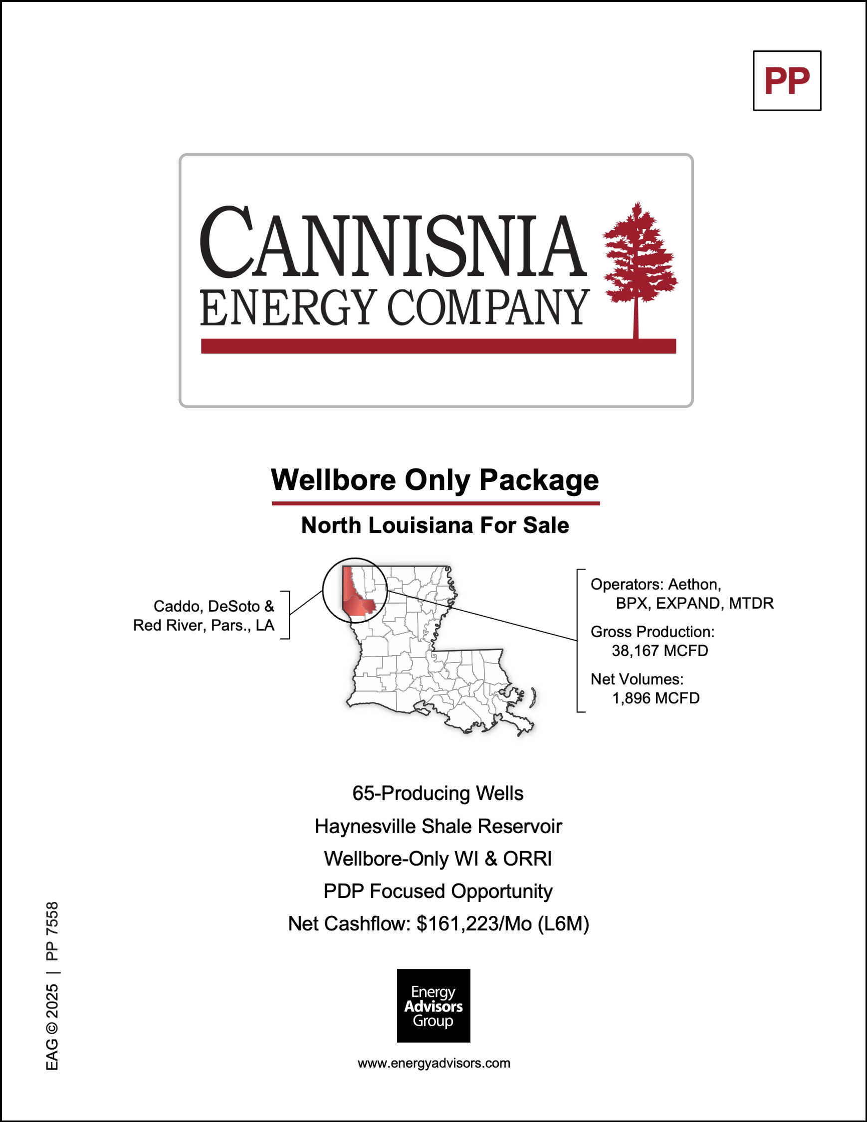 CANNISNIA WELLBORE ONLY PACKAGE - Energy Advisors Group CANNISNIA WELLBORE ONLY PACKAGE